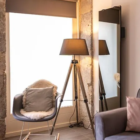 Apartament Confortable 2 Pieces Au Coeur Du Centre Historique Vienne (Isere)